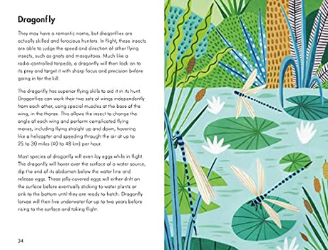 A Ladybird Book: Insects and Minibeasts - Retail Maharaj