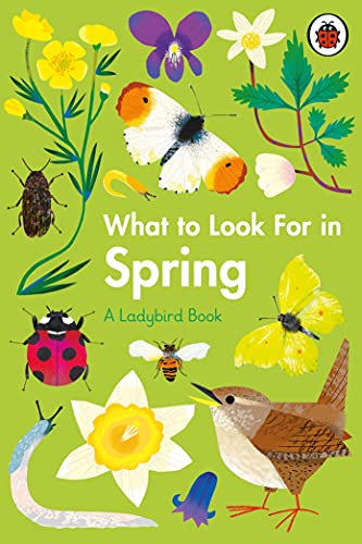 What to Look For in Every Season: A Ladybird Book Boxset - Retail Maharaj