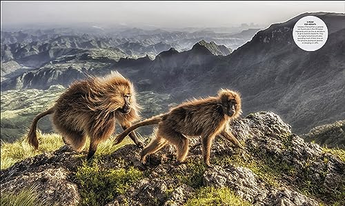 Habitats: Discover Earth's Precious Wild Places - Retail Maharaj