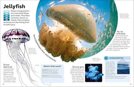 Eyewonder Oceans: Open Your Eyes to a World of Discovery - Retail Maharaj