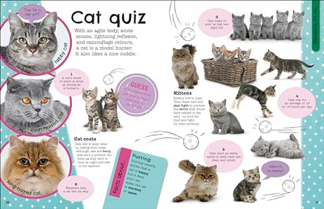 The Fact-Packed Activity Book: Animals - Retail Maharaj