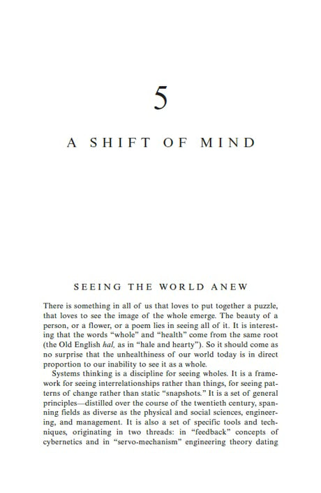 Fifth Discipline Second Edition, The - Retail Maharaj