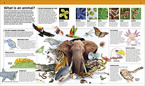 Knowledge Encyclopedia Animal!: The Animal Kingdom as you've Never Seen it Before - Retail Maharaj