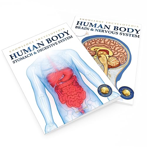 Human Body - Stomach And Digestive System: Knowledge Encyclopedia For Children - Retail Maharaj