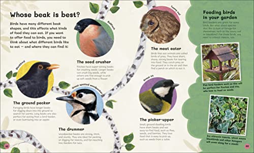 The Children's Book of Birdwatching - Retail Maharaj
