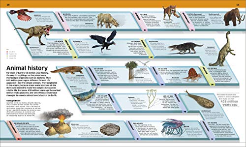 Knowledge Encyclopedia Animal!: The Animal Kingdom as you've Never Seen it Before - Retail Maharaj