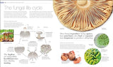 Plants and Fungi: The Definitive Visual Guide - Retail Maharaj