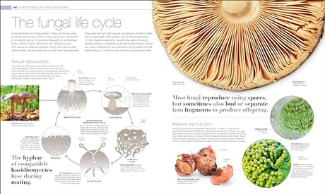 Plants and Fungi: The Definitive Visual Guide - Retail Maharaj