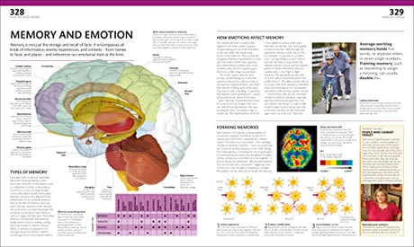 The Complete Human Body: The Definitive Visual Guide - Retail Maharaj