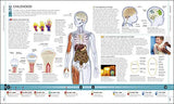 The Human Body Book - Retail Maharaj