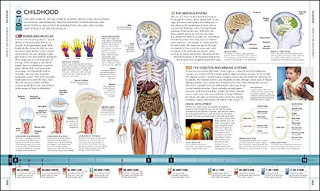 The Human Body Book - Retail Maharaj