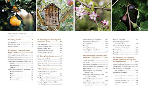 Fruit Trees for Every Garden: An Organic Approach to Growing Apples, Pears, Peaches, Plums, Citrus, and More - Retail Maharaj