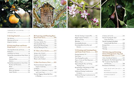 Fruit Trees for Every Garden: An Organic Approach to Growing Apples, Pears, Peaches, Plums, Citrus, and More - Retail Maharaj