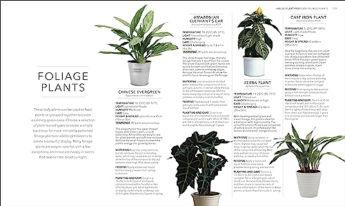 RHS House Plant: Practical Advice for All House Plants, Cacti and Succulents - Retail Maharaj