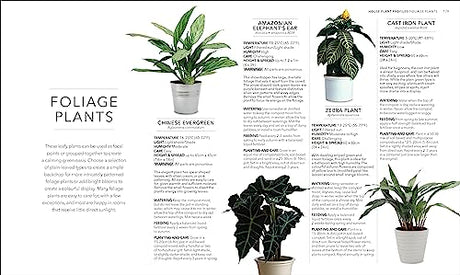RHS House Plant: Practical Advice for All House Plants, Cacti and Succulents - Retail Maharaj