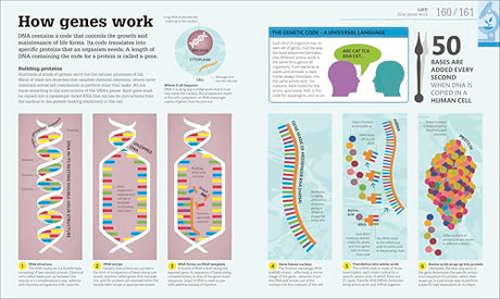 How Science Works: The Facts Visually Explained (DK How Stuff Works) - Retail Maharaj