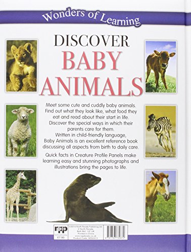 BABY ANIMALS - Retail Maharaj