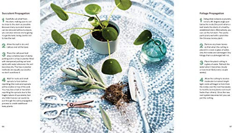 House Planted: Choosing, Growing, and Styling the Perfect Plants for Your Space - Retail Maharaj