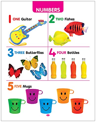 My First All in One Board Book (English): Picture Board Book for Kids | Vibrant and Eye-Catchy Pictures to Fascinate Young Ones | Early Learning Books For Babies, Toddlers & Preschool Kids | Learn Alphabet, Wild Animals, Birds, Nursery Rhymes & More | Age - Retail Maharaj