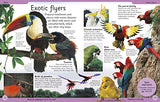 First Animal Encyclopedia: A First Reference Book for Children - Retail Maharaj