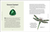 Crystal and Gems: From Mythical Properties to Magical Stories - Retail Maharaj