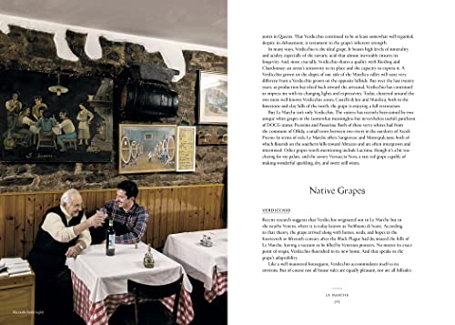 Vino: The Essential Guide to Real Italian Wine - Retail Maharaj