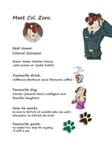 Biplob the Bumblebee Detective Col. Zoro Mystery: Book 1 to 5 (COMBO OF 5 ) | Suspenseful & Educational Novellas for Kids 9+ | Indian History, Life ... | Vocabulary Building for Young Readers - Retail Maharaj