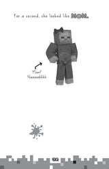 Diary Of A Minecraft Zombie #21: Carnival Chaos - Retail Maharaj