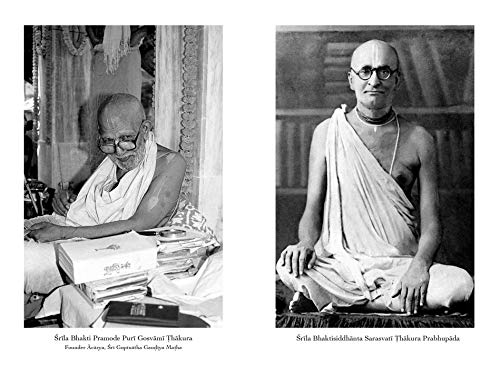 The Purity Principle - Retail Maharaj