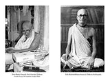 The Purity Principle - Retail Maharaj