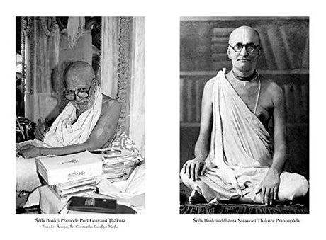 The Purity Principle - Retail Maharaj