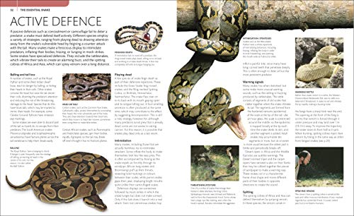Snake: The Essential Visual Guide - Retail Maharaj