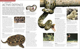 Snake: The Essential Visual Guide - Retail Maharaj