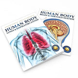 Human Body - Lungs And Respiratory System: Knowledge Encyclopedia For Children - Retail Maharaj