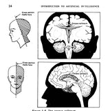 Introduction to Artificial Intelligence: Third Edition (Dover Books on Computer Science) - Retail Maharaj