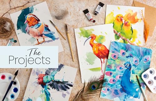 Simply Paint Birds: A Complete Watercolour Course for Beginners - Retail Maharaj
