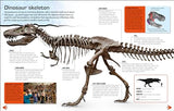 Make Your Own T. Rex: Easy to Build - No Glue, No Mess! - Retail Maharaj