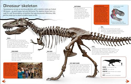Make Your Own T. Rex: Easy to Build - No Glue, No Mess! - Retail Maharaj