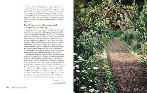 Fruit Trees for Every Garden: An Organic Approach to Growing Apples, Pears, Peaches, Plums, Citrus, and More - Retail Maharaj