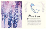 The Wonders of Nature - Retail Maharaj