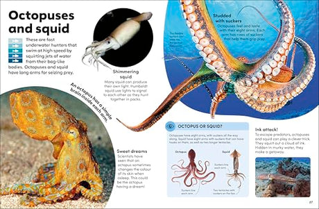 Eyewonder Oceans: Open Your Eyes to a World of Discovery - Retail Maharaj