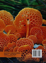 Textbook of Botany - Retail Maharaj