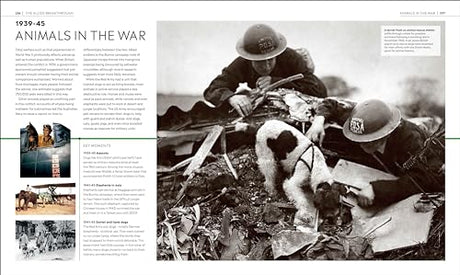 Timelines of World War II (DK Timelines) - Retail Maharaj