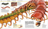 Knowledge Encyclopedia Animal!: The Animal Kingdom as you've Never Seen it Before - Retail Maharaj