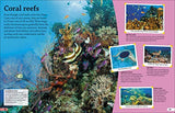 DKfindout! Oceans - Retail Maharaj