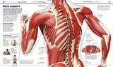 Knowledge Encyclopedia: Human Body!: Your Amazing Body As You've Never Seen It Before - Retail Maharaj