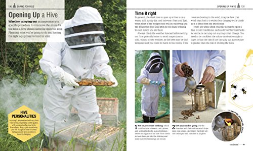 The Bee Book: The Wonder of Bees – How to Protect them – Beekeeping Know-how - Retail Maharaj