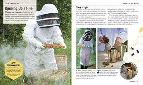 The Bee Book: The Wonder of Bees – How to Protect them – Beekeeping Know-how - Retail Maharaj