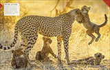 Born to be Wild: How Baby Animals Survive and Thrive - Retail Maharaj