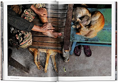 Steve McCurry. Animals - Retail Maharaj